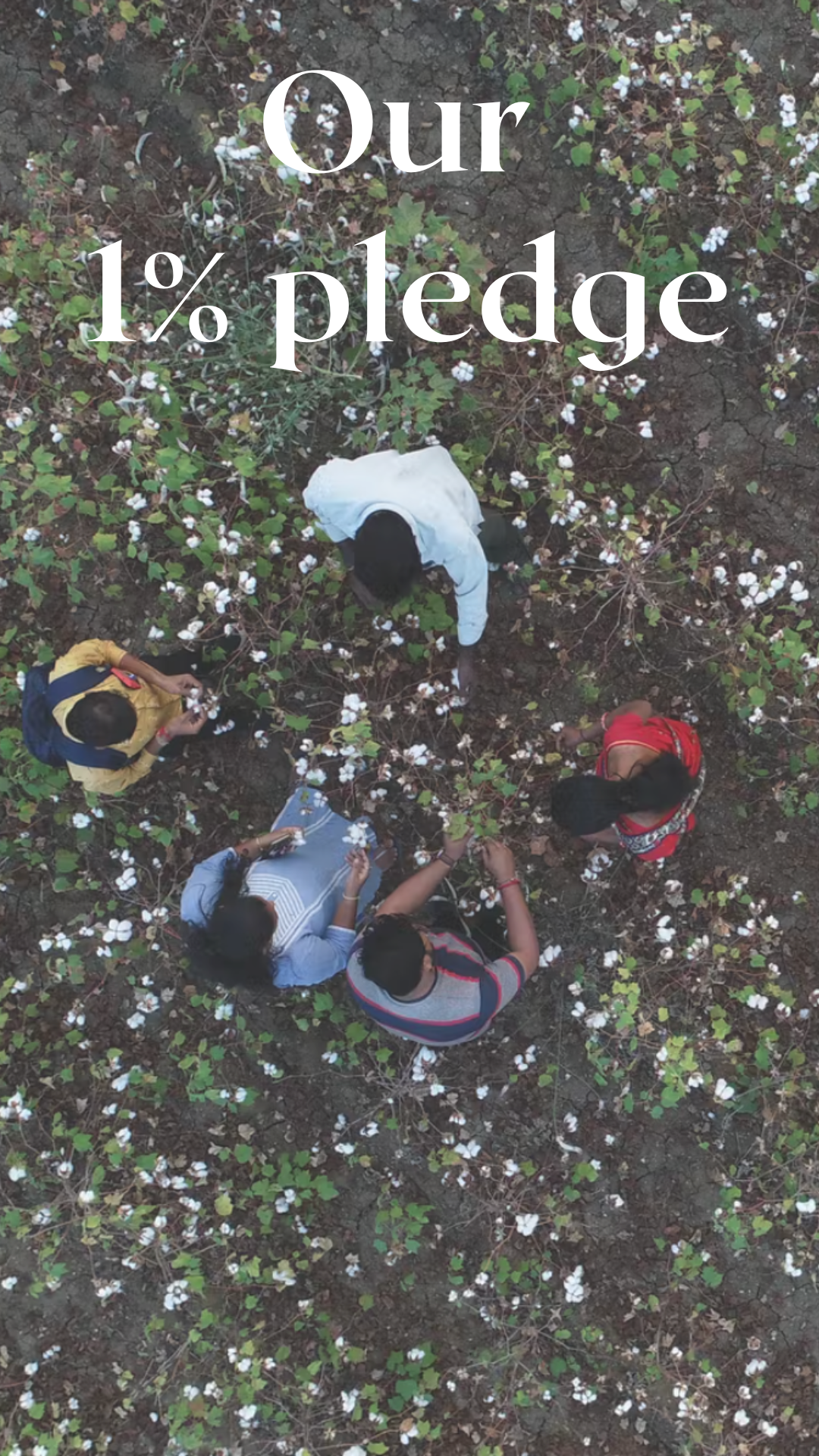 Investing in Carbon Offsetting & Carbon Capture Initiatives