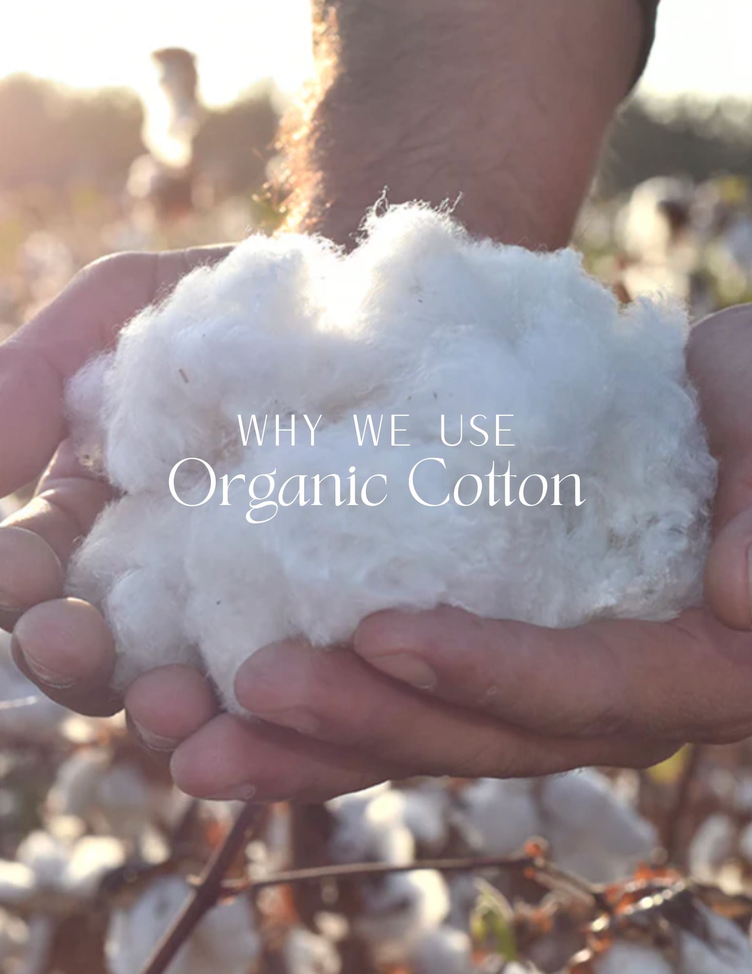 Why We Use Organic Cotton