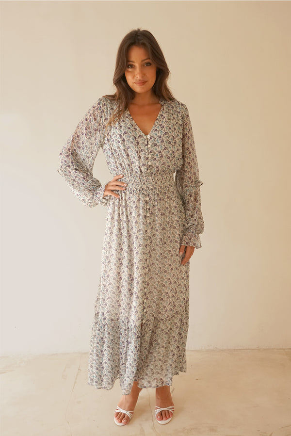 Paneros Clothing Women's Button Front Aria Maxi Dress in Ditsy Floral Print - Potpourri